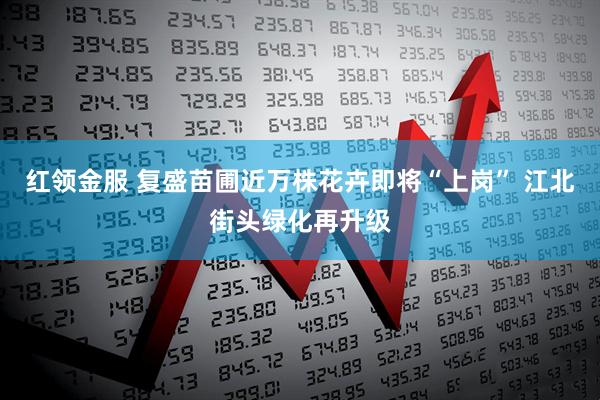 红领金服 复盛苗圃近万株花卉即将“上岗” 江北街头绿化再升级