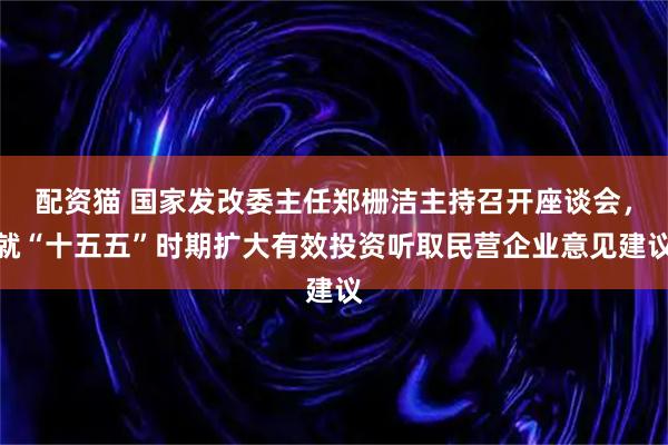 配资猫 国家发改委主任郑栅洁主持召开座谈会，就“十五五”时期扩大有效投资听取民营企业意见建议