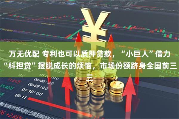 万无优配 专利也可以质押贷款，“小巨人”借力“科担贷”摆脱成长的烦恼，市场份额跻身全国前三